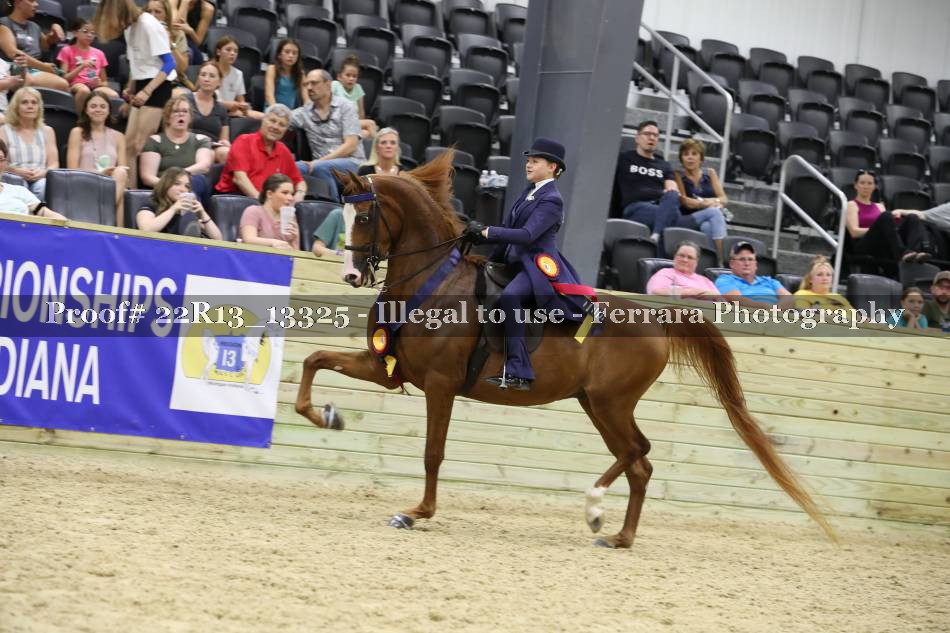 Proof 22R13_13325