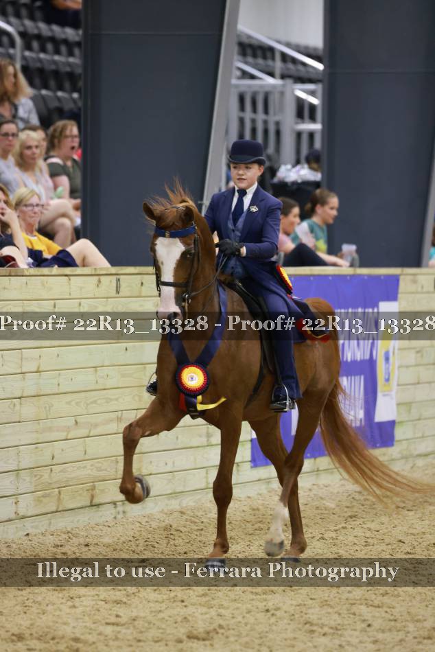 Proof 22R13_13328
