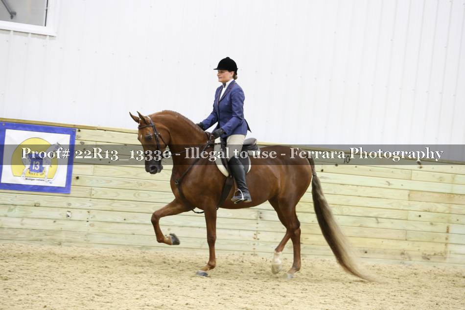 Proof 22R13_13330