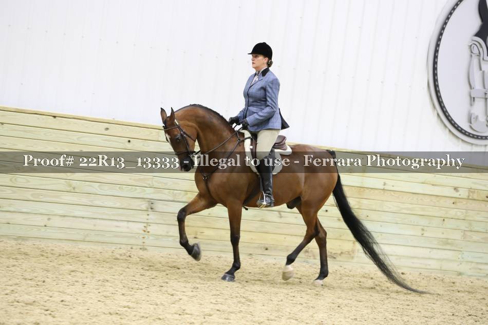 Proof 22R13_13333