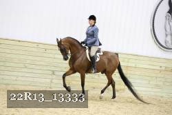 22R13_13333 proof