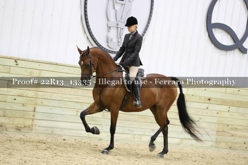 Proof 22R13_13335