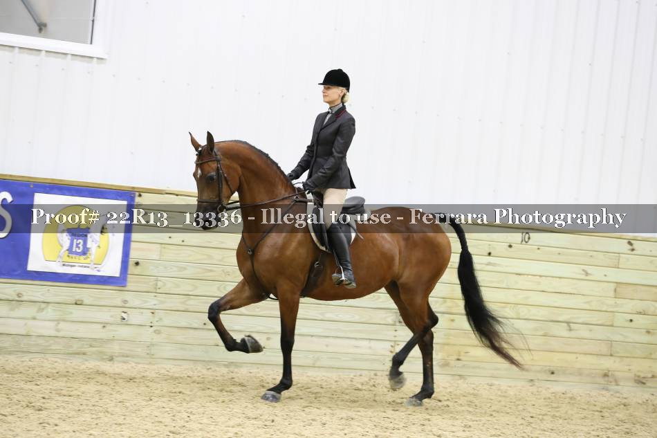 Proof 22R13_13336
