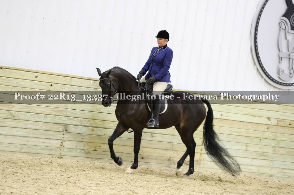 Proof 22R13_13337