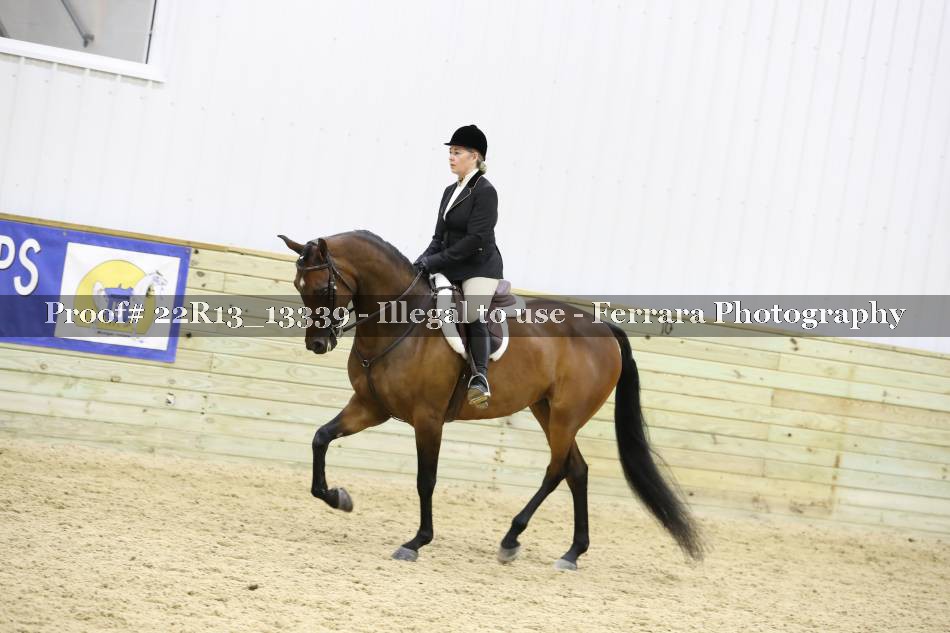 Proof 22R13_13339