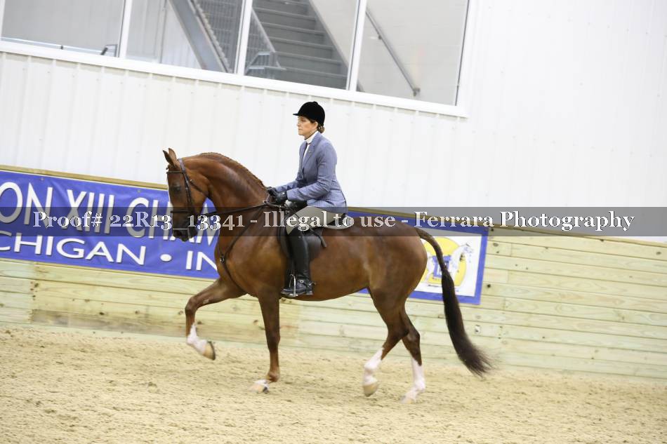 Proof 22R13_13341
