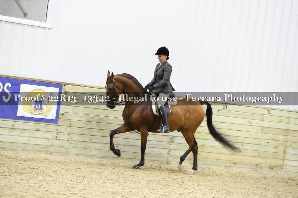 Proof 22R13_13342