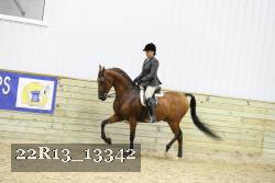 22R13_13342 proof