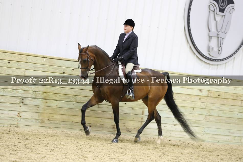 Proof 22R13_13344