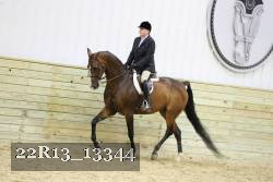 22R13_13344 proof