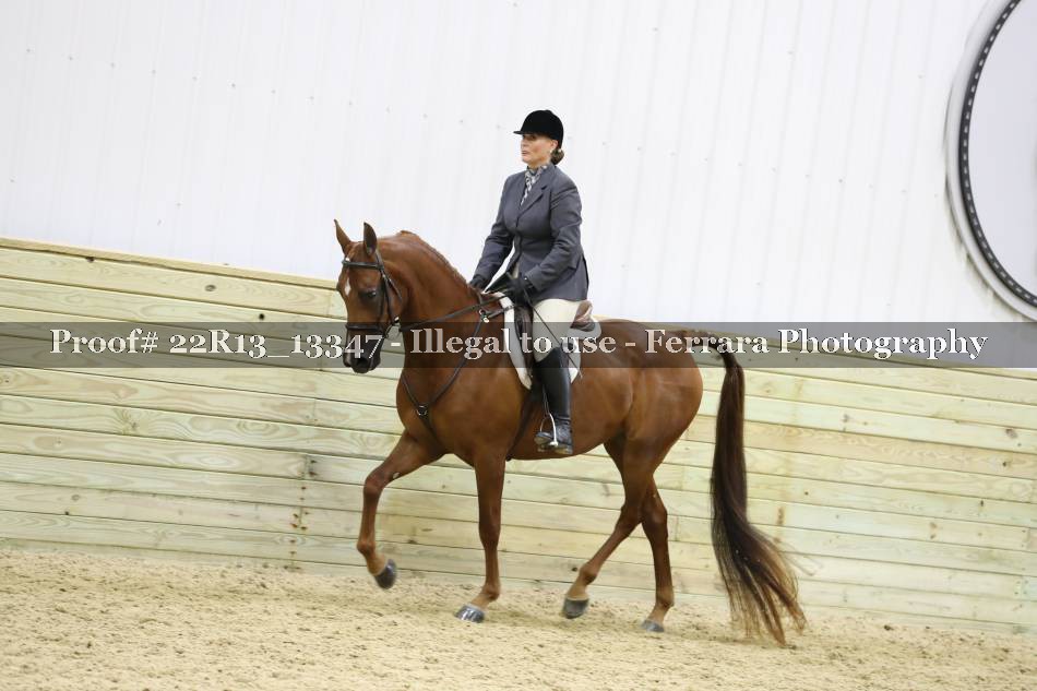 Proof 22R13_13347