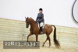 22R13_13347 proof
