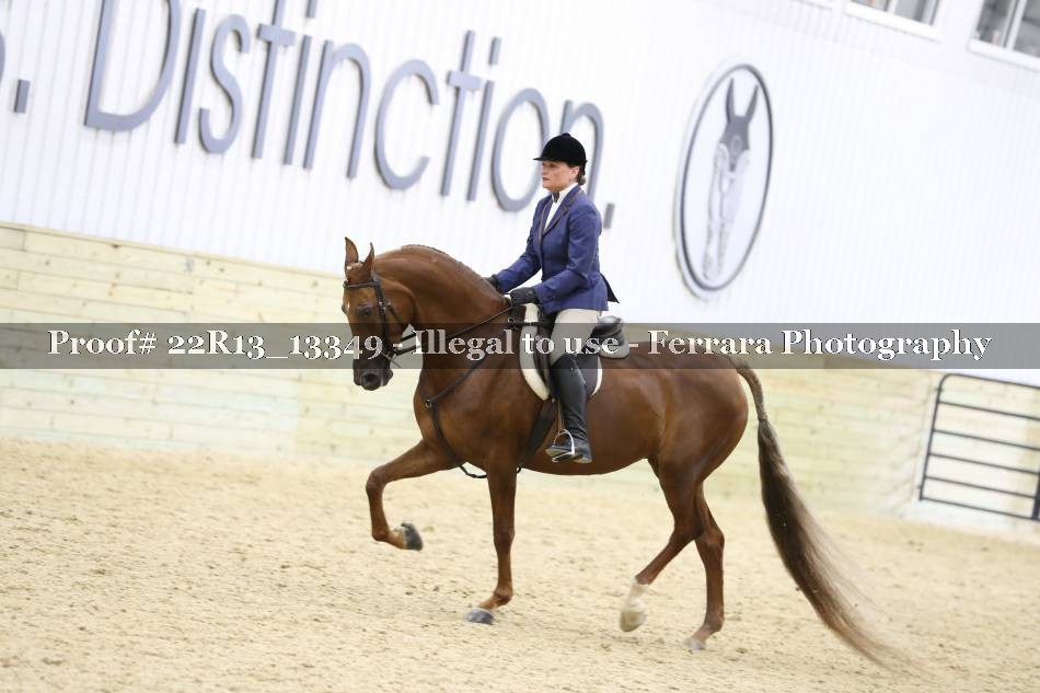 Proof 22R13_13349