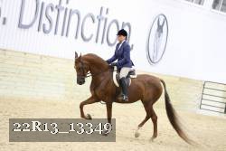 22R13_13349 proof