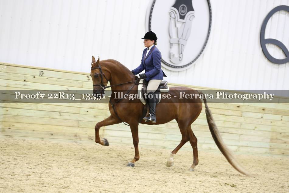 Proof 22R13_13351