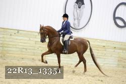 22R13_13351 proof