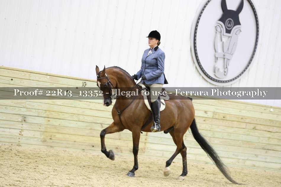 Proof 22R13_13352