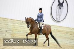 22R13_13352 proof