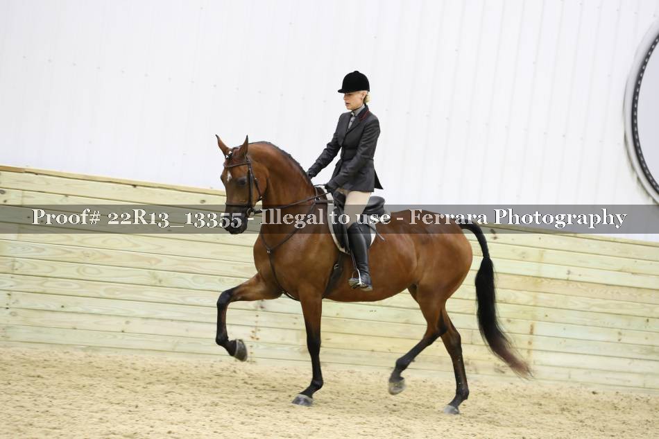 Proof 22R13_13355
