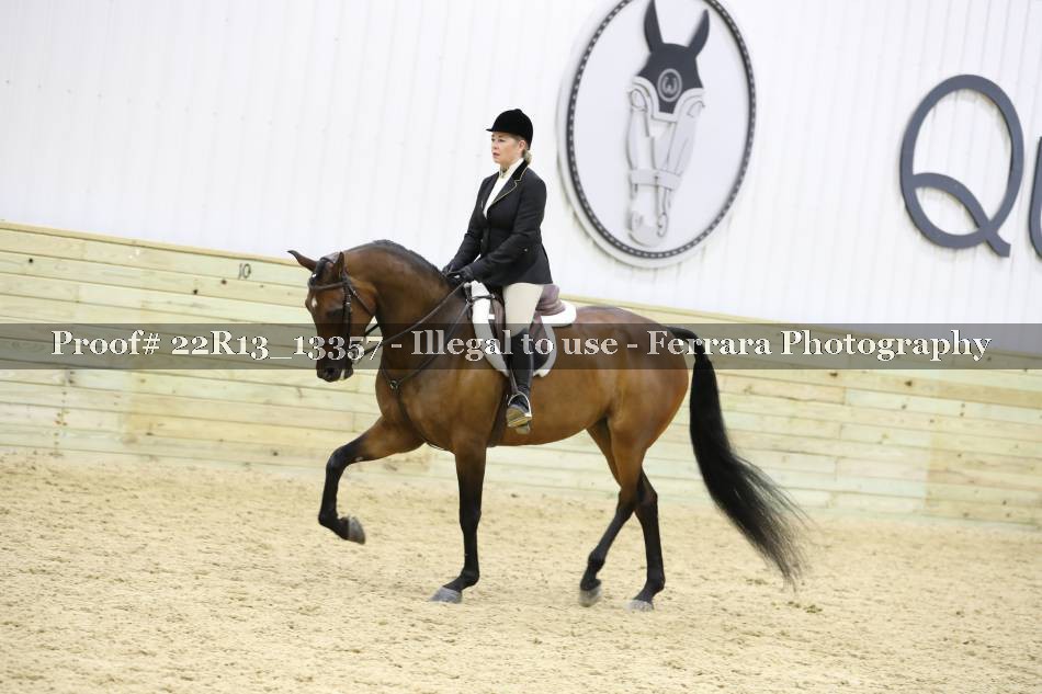 Proof 22R13_13357