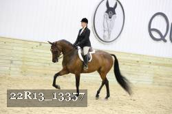 22R13_13357 proof