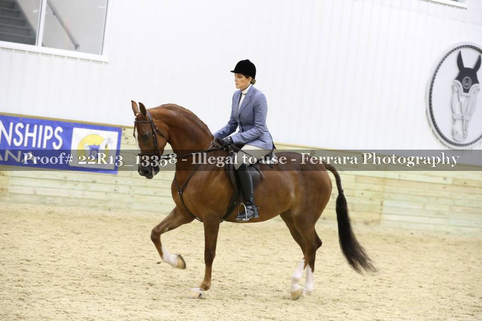 Proof 22R13_13358