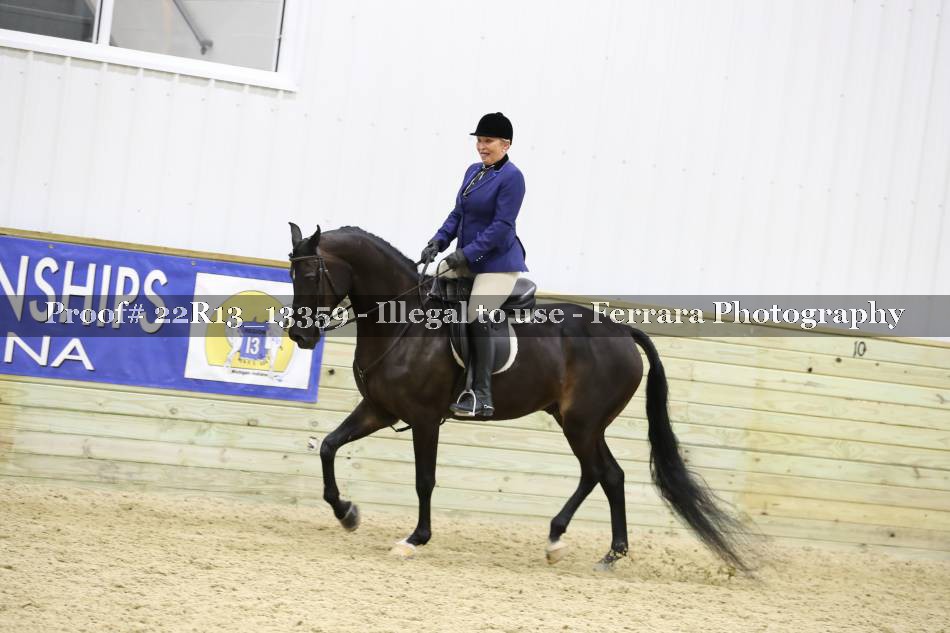Proof 22R13_13359