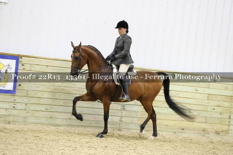 Proof 22R13_13361