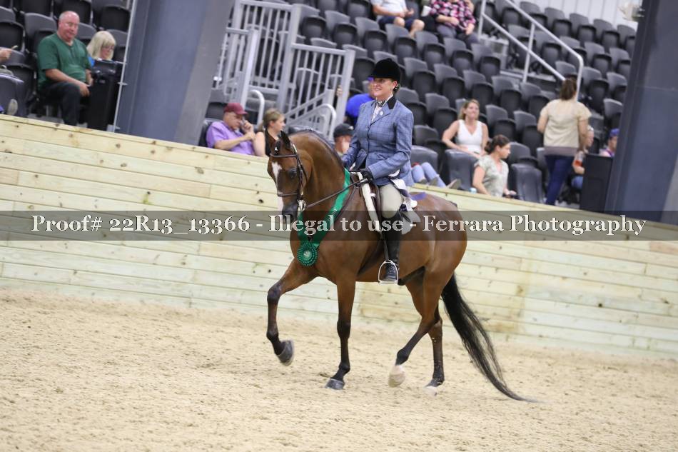 Proof 22R13_13366