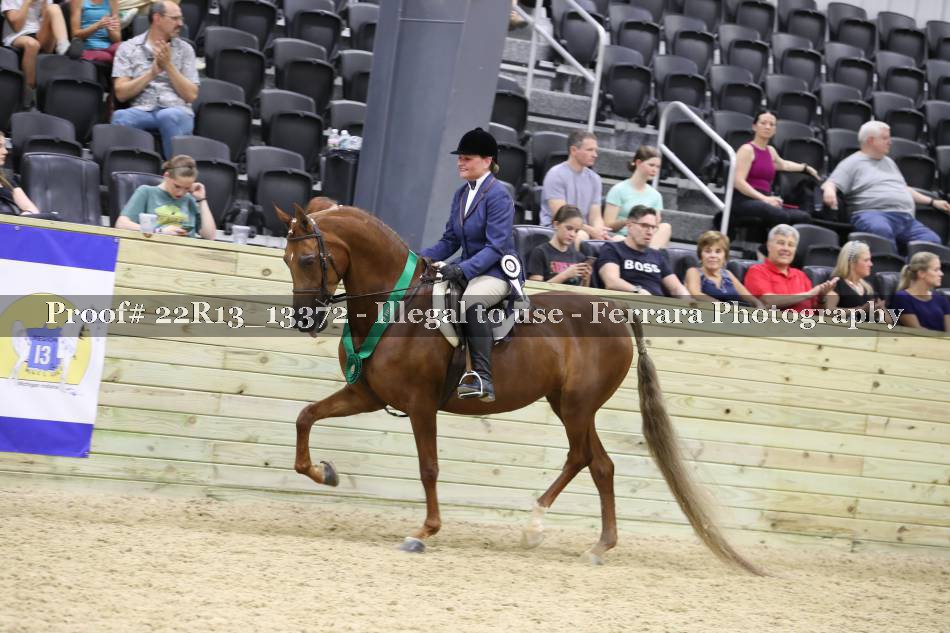 Proof 22R13_13372