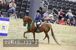 22R13_13372 proof