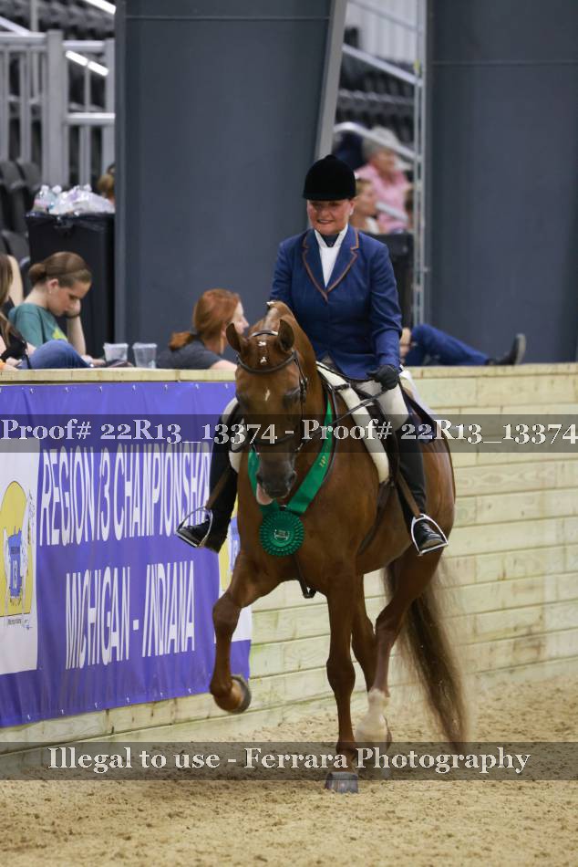 Proof 22R13_13374