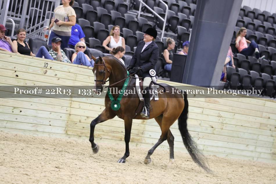 Proof 22R13_13375