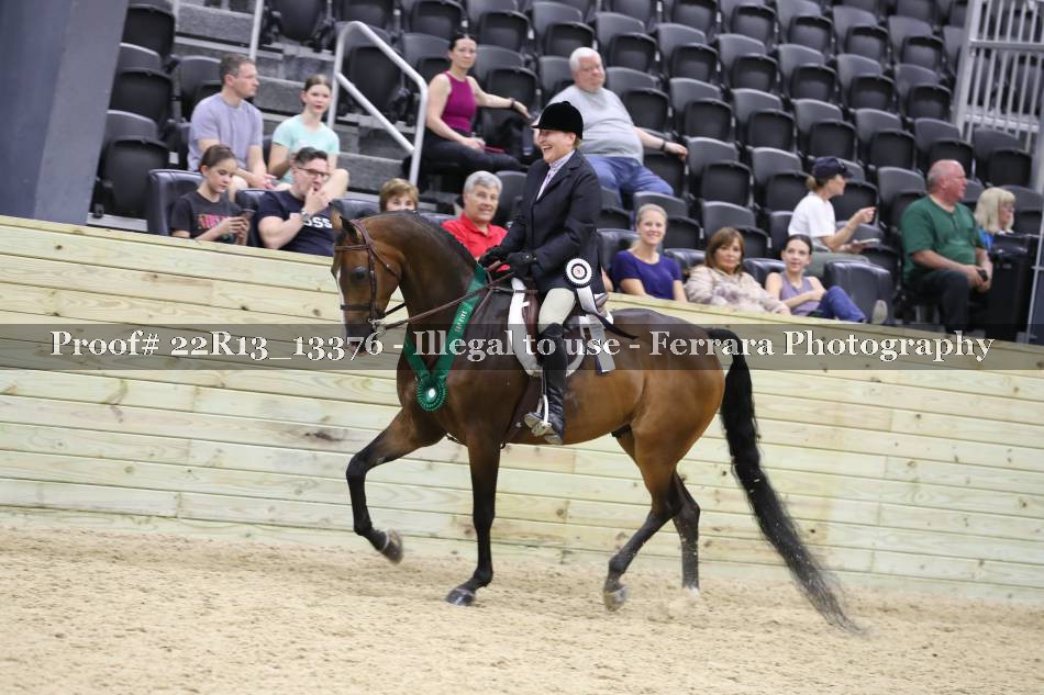 Proof 22R13_13376