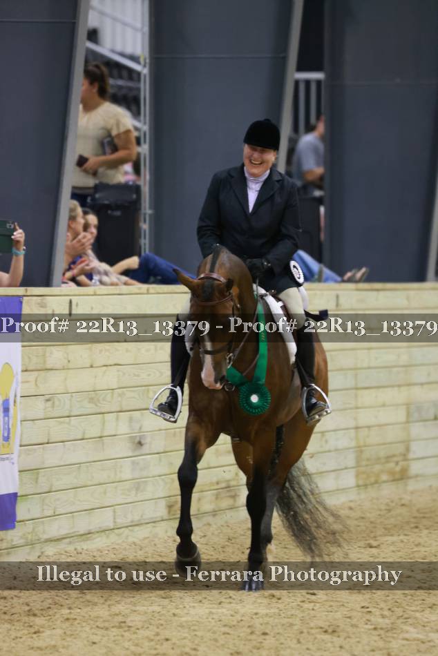 Proof 22R13_13379