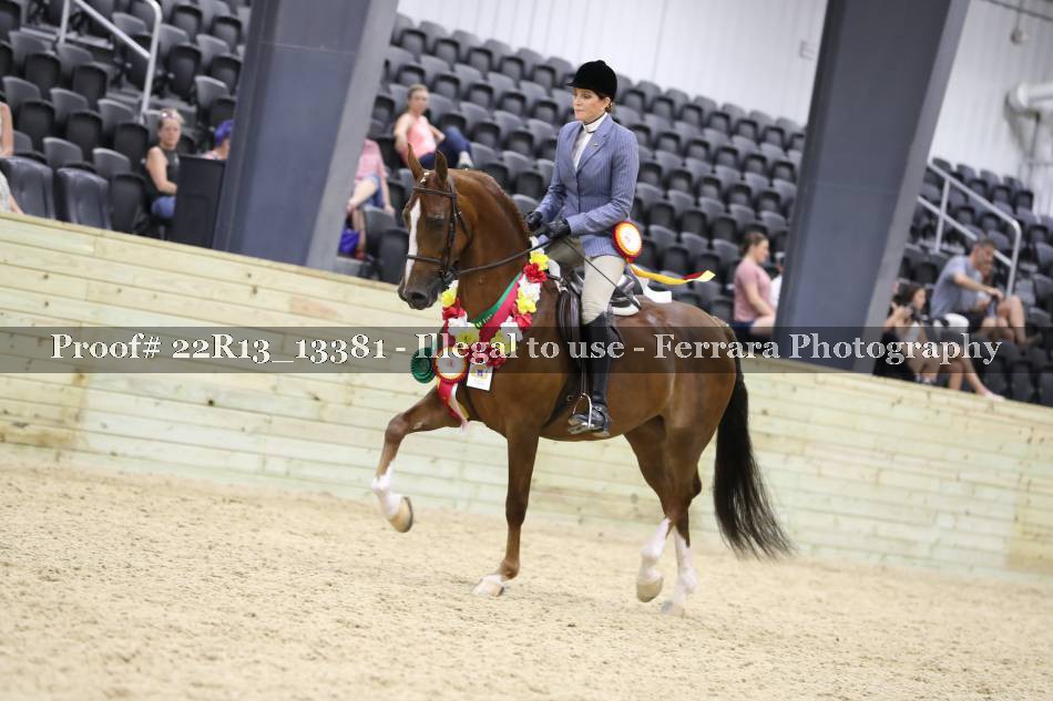 Proof 22R13_13381