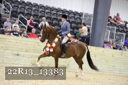 22R13_13383 proof