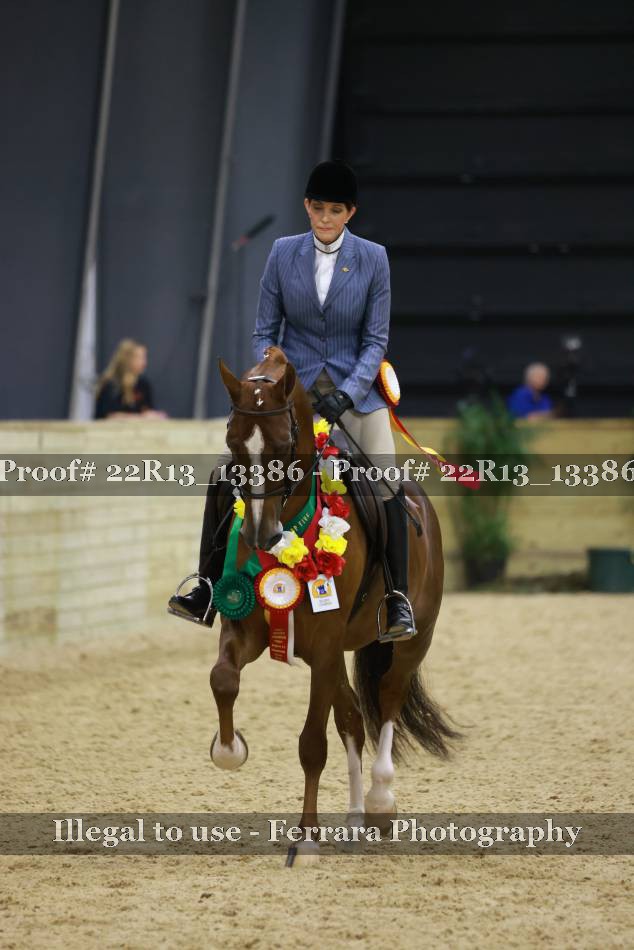 Proof 22R13_13386