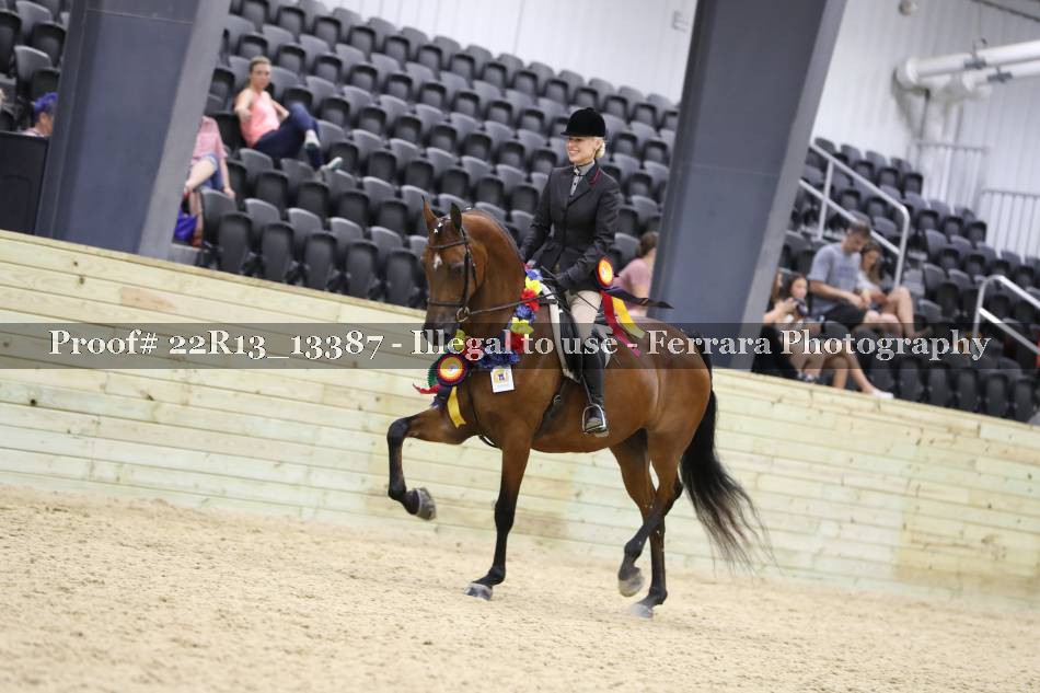 Proof 22R13_13387