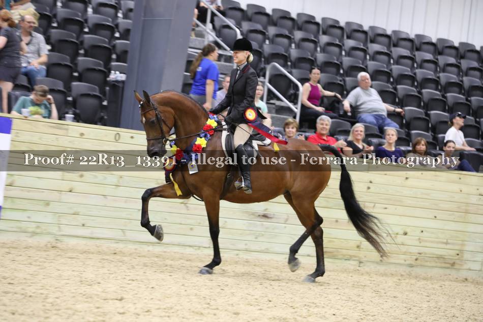 Proof 22R13_13391
