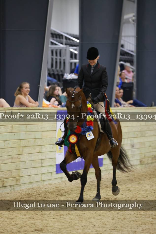 Proof 22R13_13394