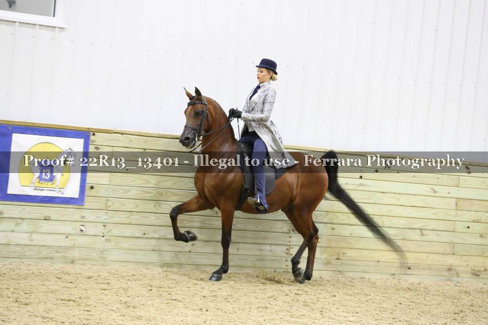 Proof 22R13_13401