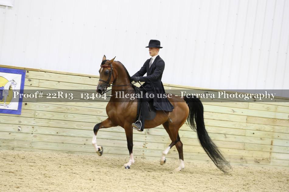 Proof 22R13_13404
