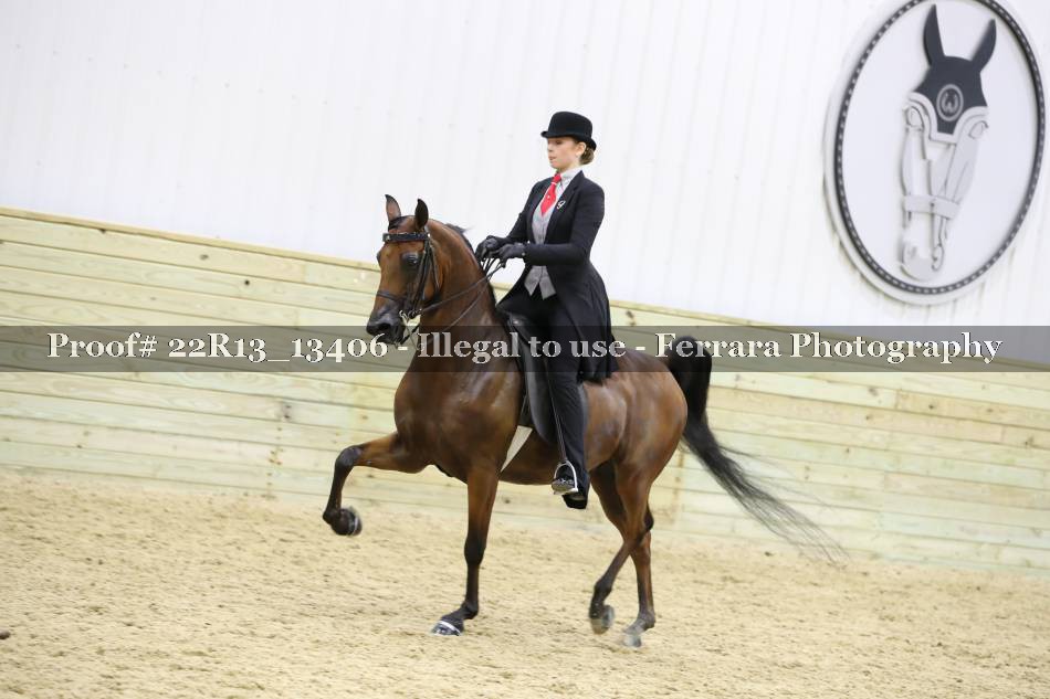 Proof 22R13_13406