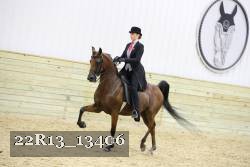22R13_13406 proof