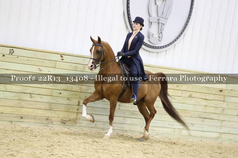 Proof 22R13_13408