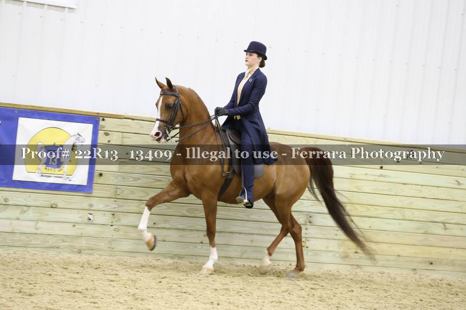 Proof 22R13_13409