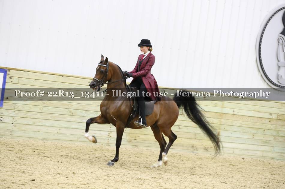 Proof 22R13_13411