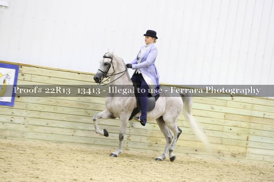 Proof 22R13_13413