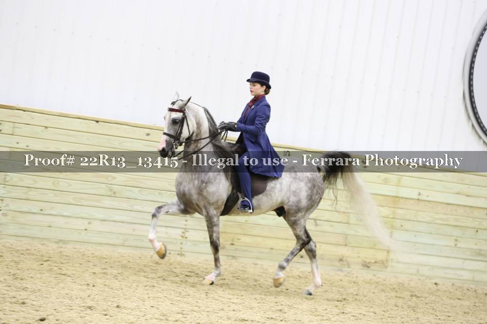 Proof 22R13_13415